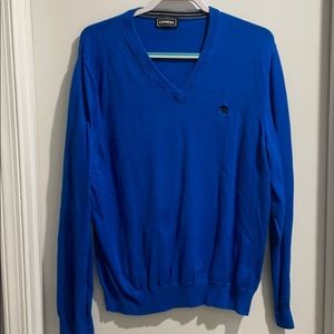 Blue express v neck sweater